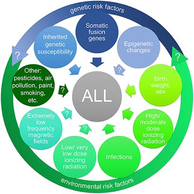 Risk Factors for Childhood Leukemia: Radiation and Beyond